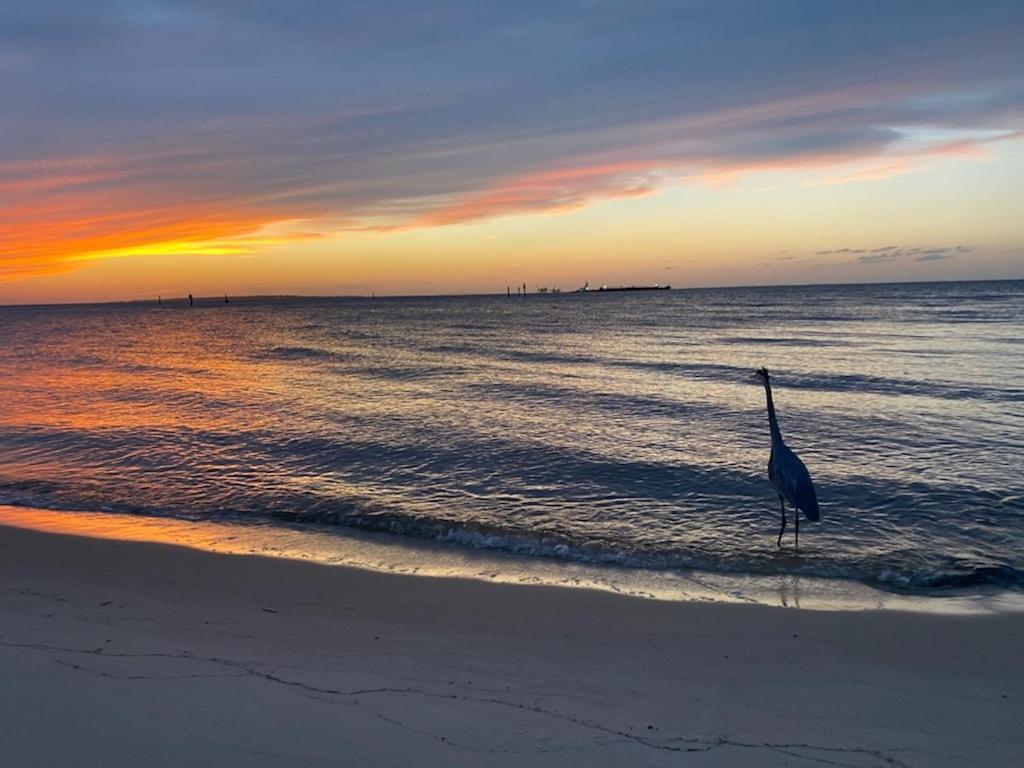 Budget Friendly Condo Perfect For A Romantic Getaway Within Walking Distance To The Beach! Gulf Shores Dış mekan fotoğraf