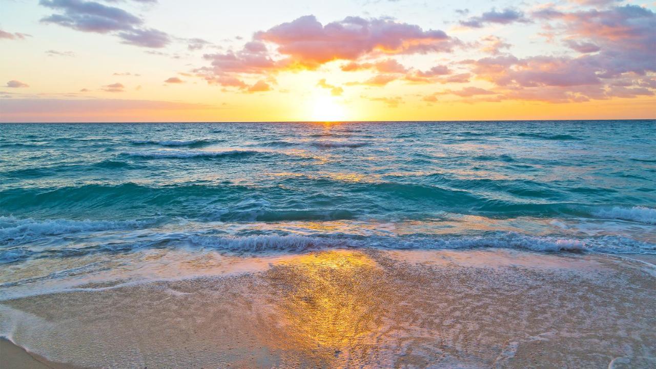 Budget Friendly Condo Perfect For A Romantic Getaway Within Walking Distance To The Beach! Gulf Shores Dış mekan fotoğraf